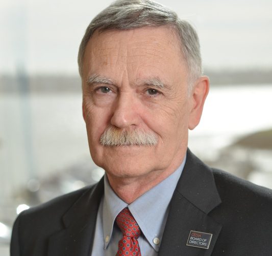 CEDIA Chairperson Dennis Erskine