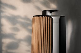 Bang & Olufsen BeoLab 50