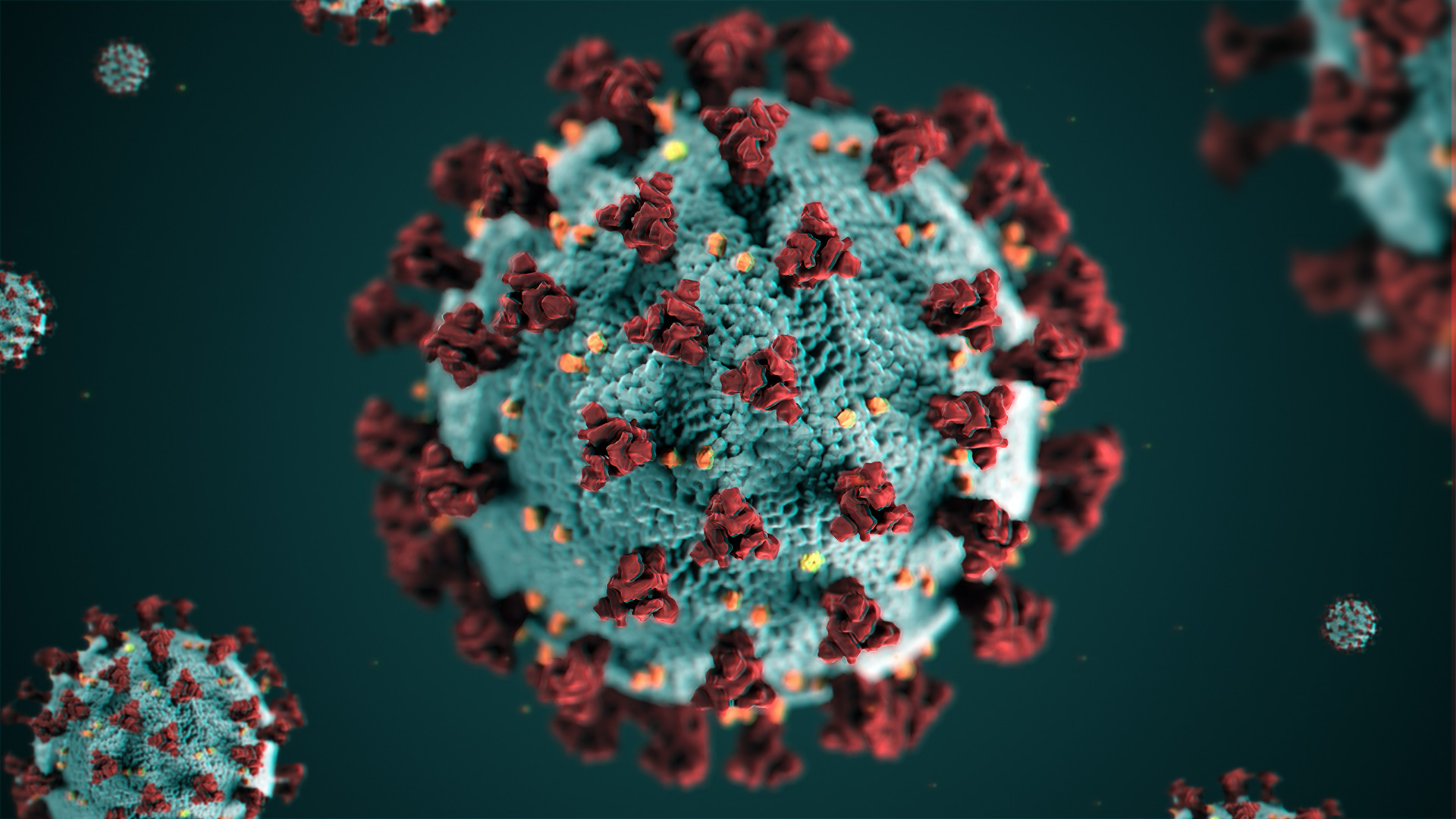 Coronavirus