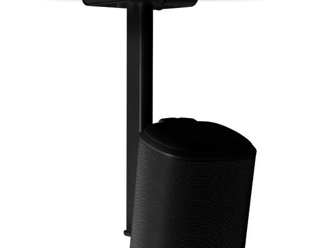 Flexson Sonos One