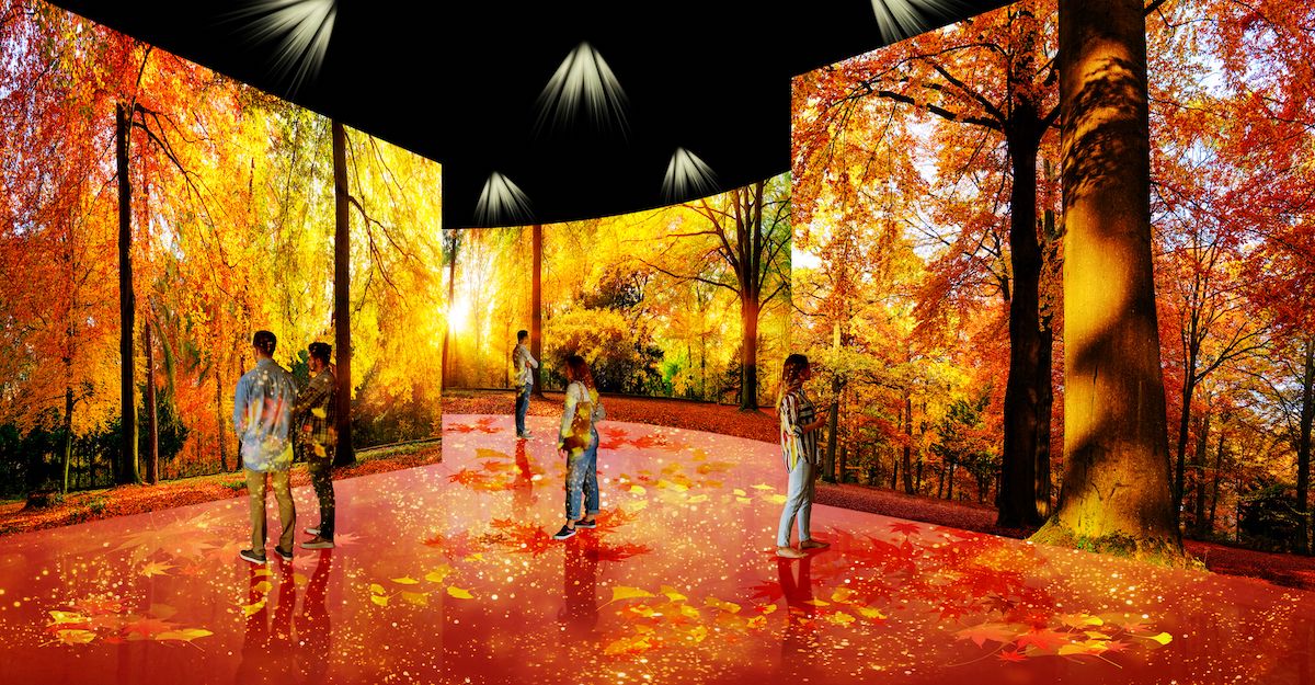 Panasonic to launch Media Processors for multi-projection immersive ...