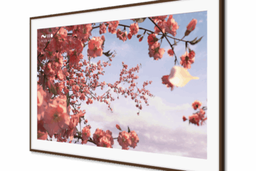 Leon and Sony launch new Solé TV Frame for BRAVIA 7